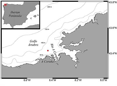 Biological N2 Fixation in the Upwelling Region off NW Iberia: Magnitude, Relevance, and Players